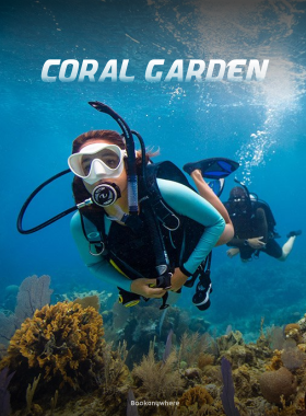 Discover Scuba Diving + Water Sports at Coral Garden - Malvan
