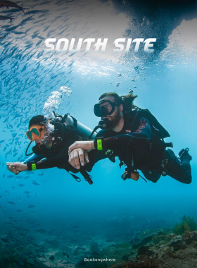 Scuba Diving at South Goa